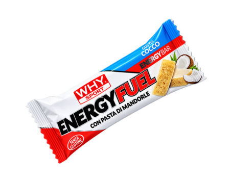 Why Sport Energy Fuel Cocco 30 g.