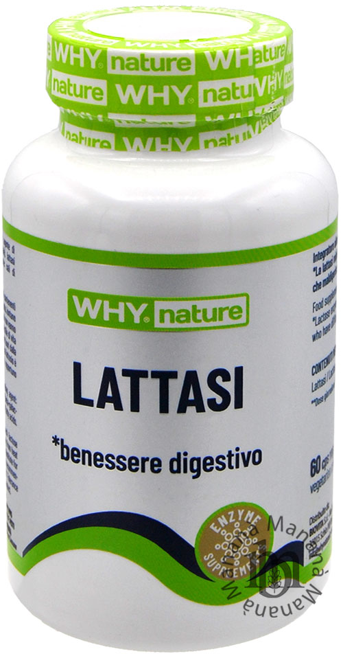 Cos’è la lattasi e perché è importante?